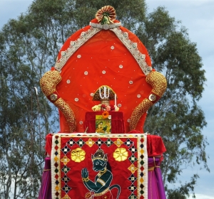 DSCF6175